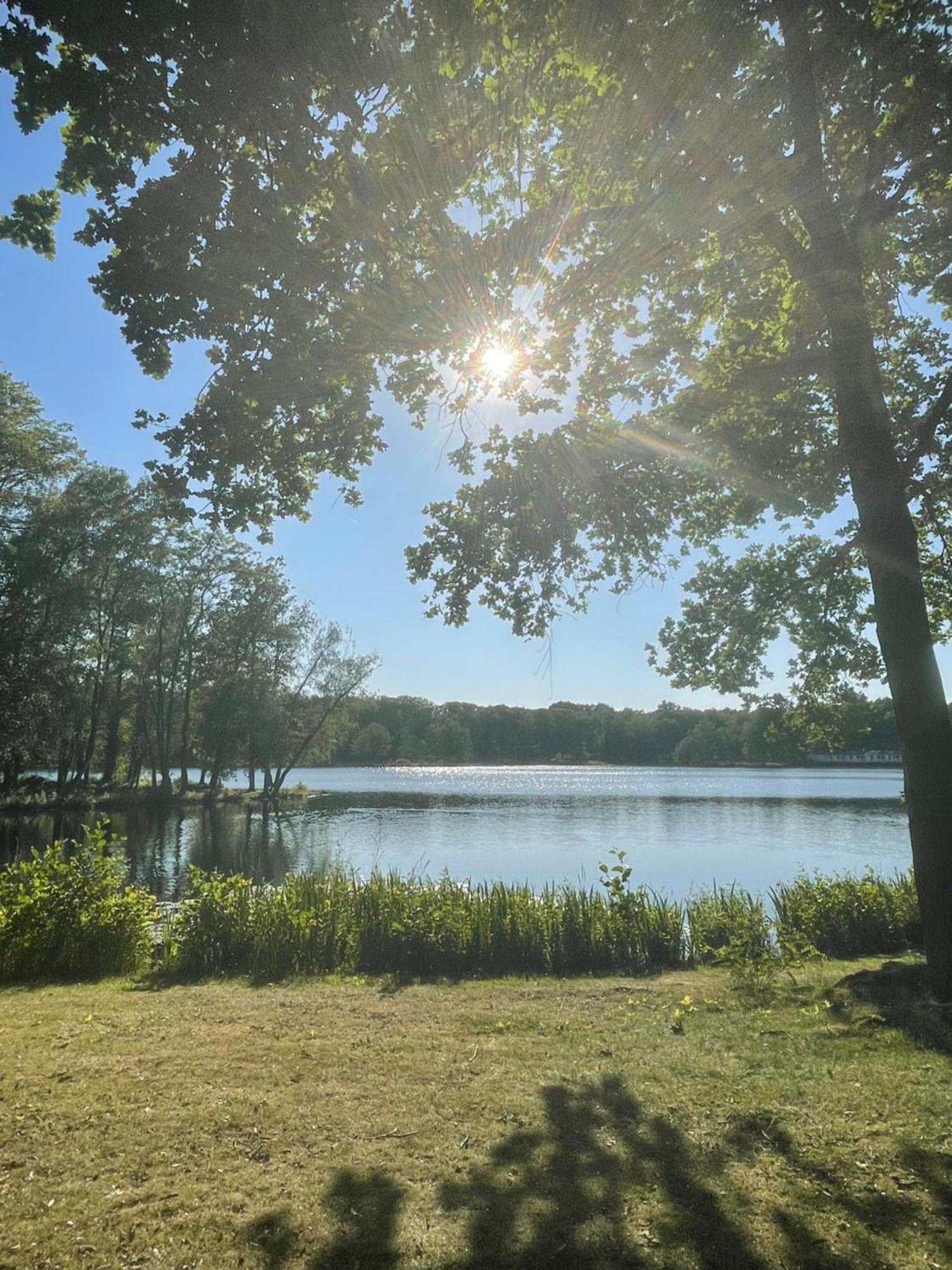 Boshuisje Pinus Sonnevijver Residences ランアーケン エクステリア 写真