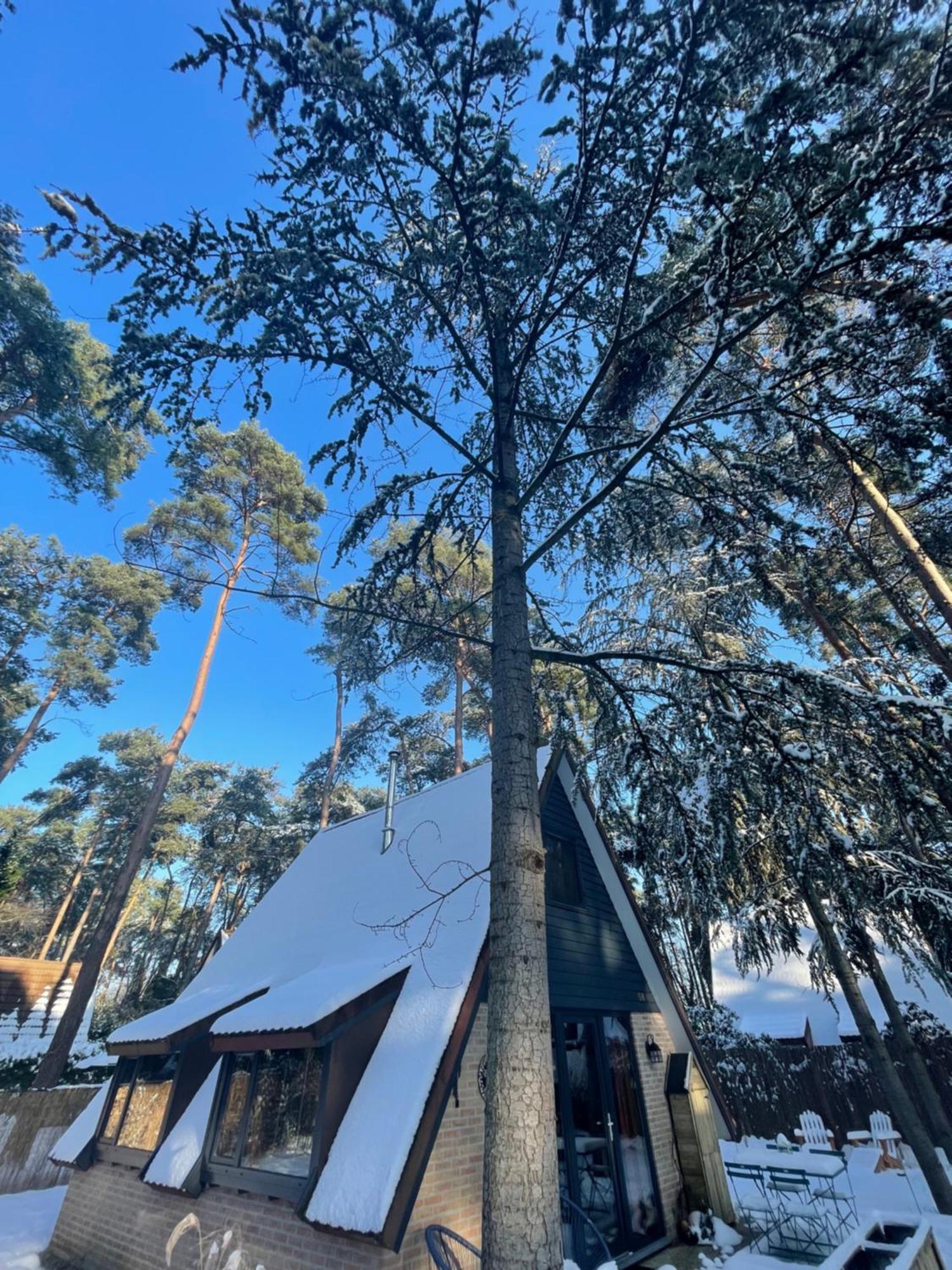 Boshuisje Pinus Sonnevijver Residences ランアーケン エクステリア 写真